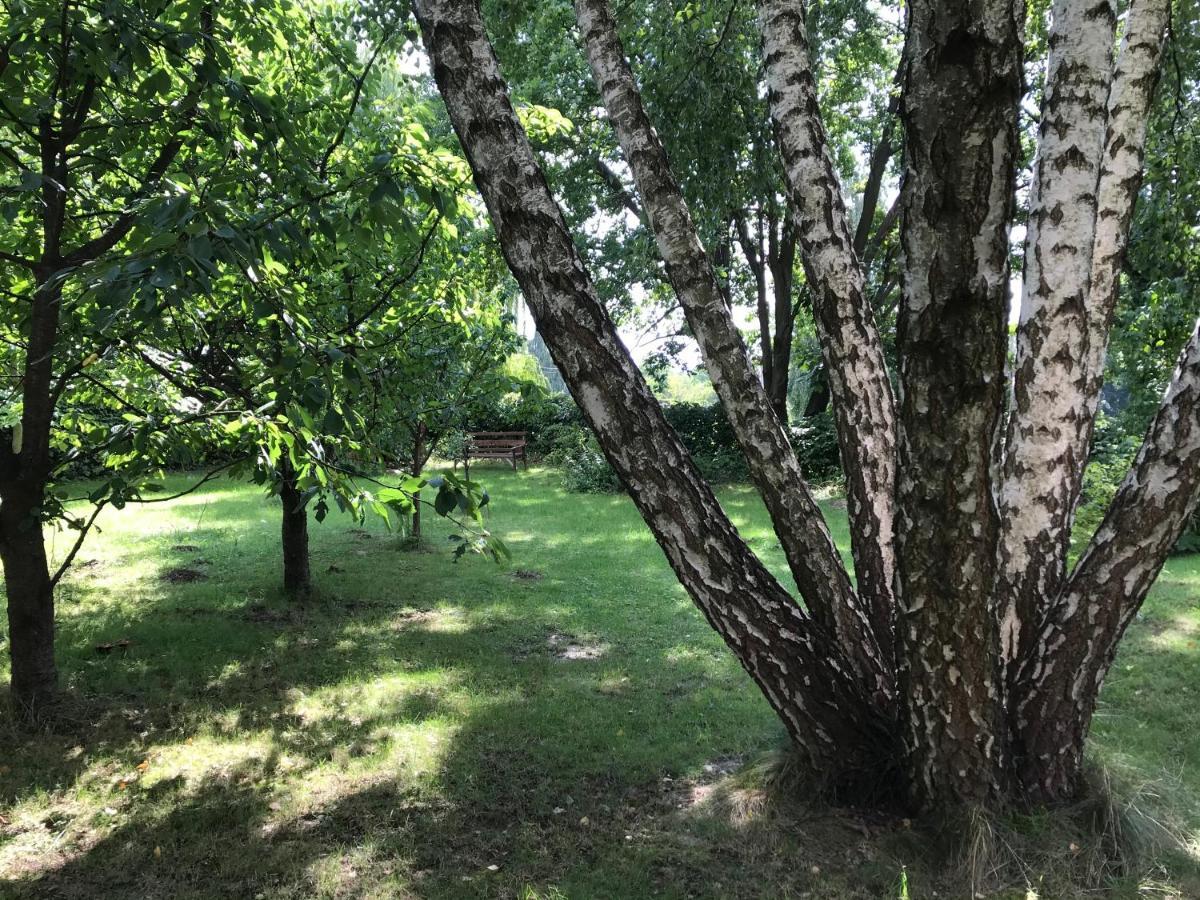 Pokoje Pod Debami Kazimierz Dolny Bagian luar foto