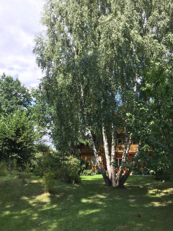 Pokoje Pod Debami Kazimierz Dolny Bagian luar foto