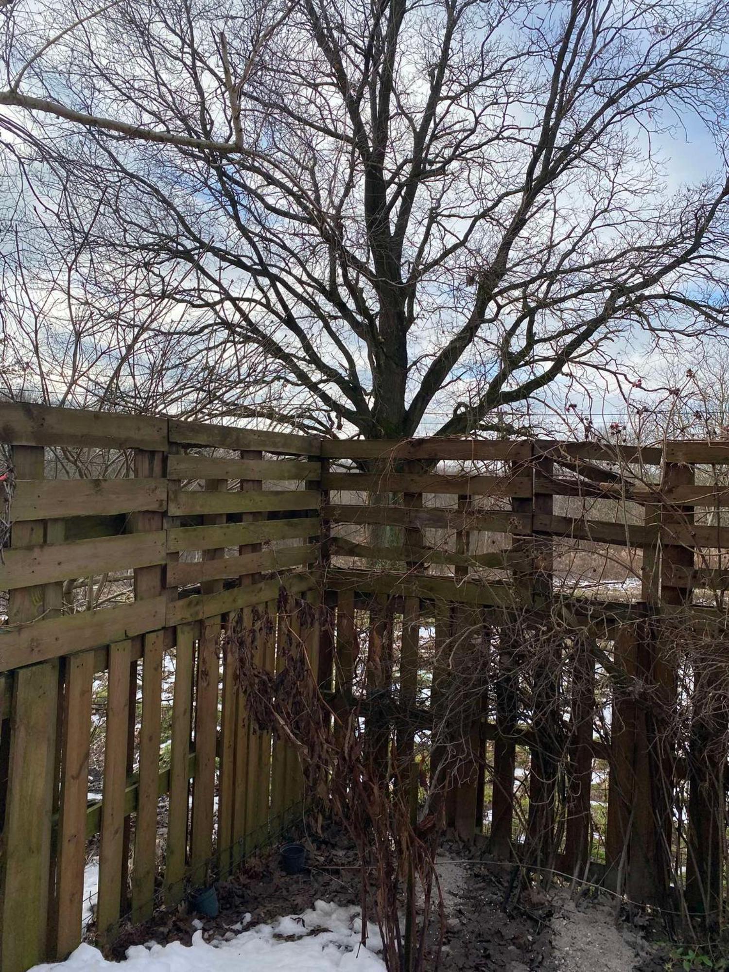 Pokoje Pod Debami Kazimierz Dolny Bagian luar foto